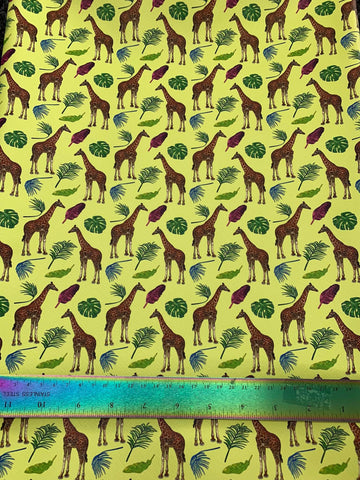 Giraffes - Vinyl